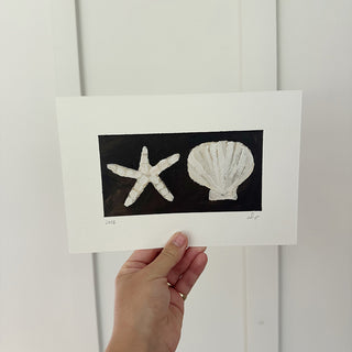 Starfish and Shell