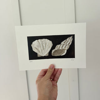 Shells
