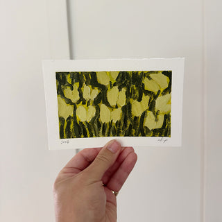 Yellow Tulip Field