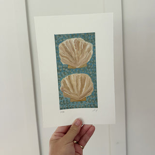Two Shells on Blue