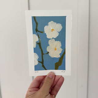 White Flowers On Blue