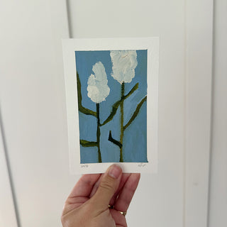 White Flower Pair
