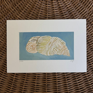 Shell On Blue