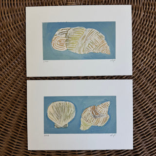 Shells On Blue