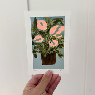 Pink Arrangement