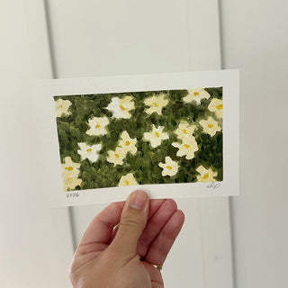 Daisies