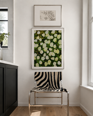 Limelights Hydrangea Print