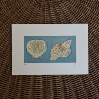 Shells On Blue