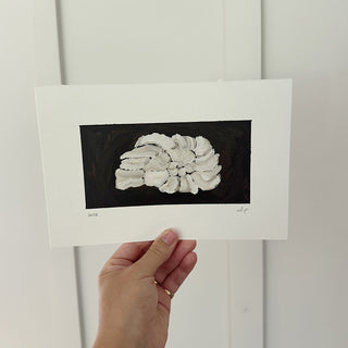 Spiral Shell