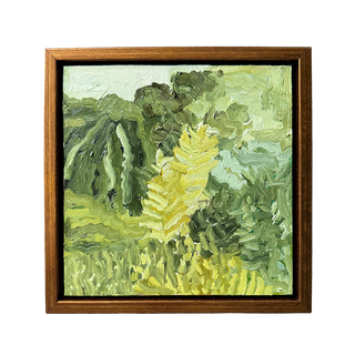 Field Study IV