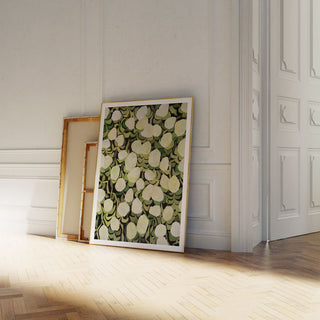 Limelights hydrangea art print by Alex King displayed in a home interior