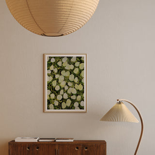 Limelights hydrangea art print by Alex King displayed in a home interior