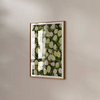 Detail of white hydrangeas and green foliage in Limelights by Alex King