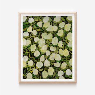 Limelights hydrangea fine art print by Alex King featuring white and green hydrangea blooms