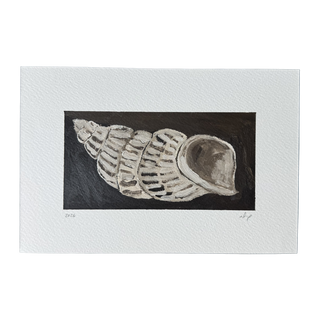 Striped Shell
