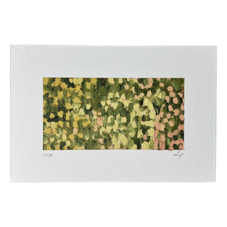 Flower Field