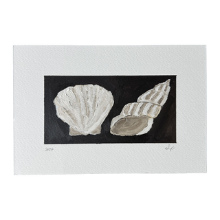 Shells
