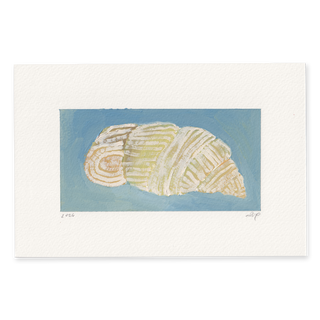 Shell On Blue