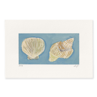 Shells On Blue