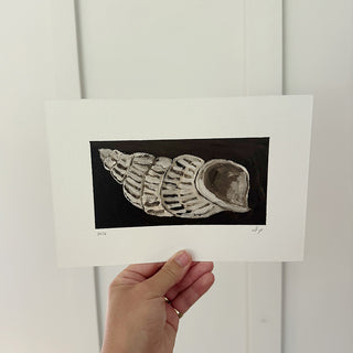 Striped Shell