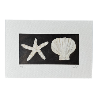 Starfish and Shell