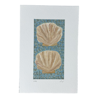 Two Shells on Blue
