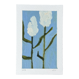 White Flower Pair