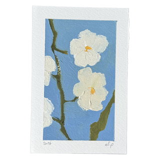 White Flowers On Blue