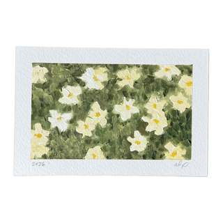 Daisies