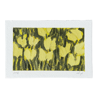 Yellow Tulip Field