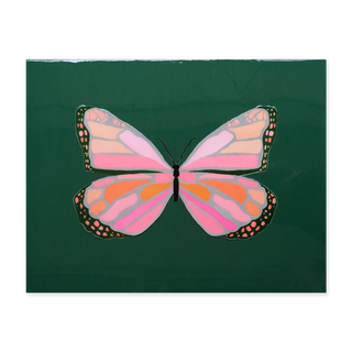 Marais Butterfly